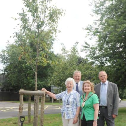From left, Havant Borough Council leader and cllr Mike Cheshire, deputy leader of Havant Borough Council and cllr Tony Briggs, cllr Gwen Blackett and the mayor of Havant Elaine Shimbart. Picture: Sarah Standing