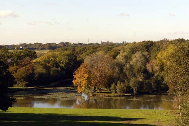 Staunton Country Park. Picture: Paul Jacobs