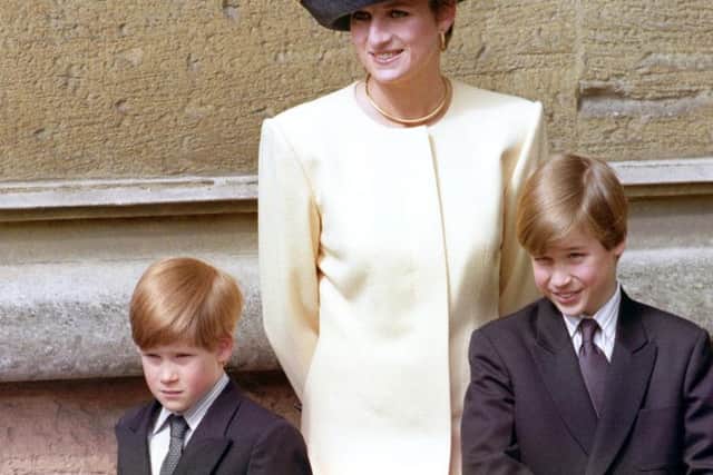 William and Harry with Diana
