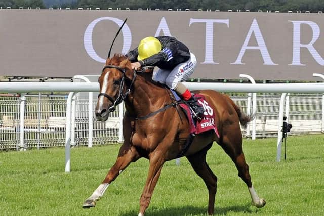 Stradivarius wins the Goodwood Cup / Picture by Malcolm Wells