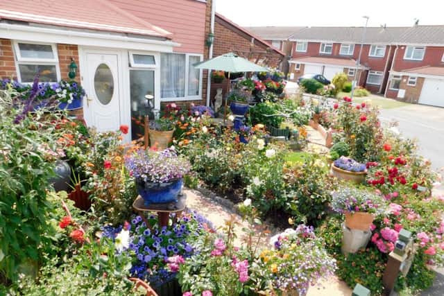 Kathryn Craddock's Southsea garden is a riot of colour