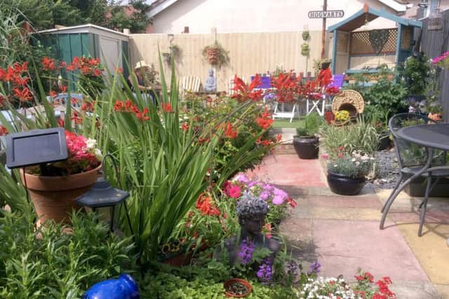 Spot the Harry Potter reference in   Michael and Sandra Scott's garden in Cosham