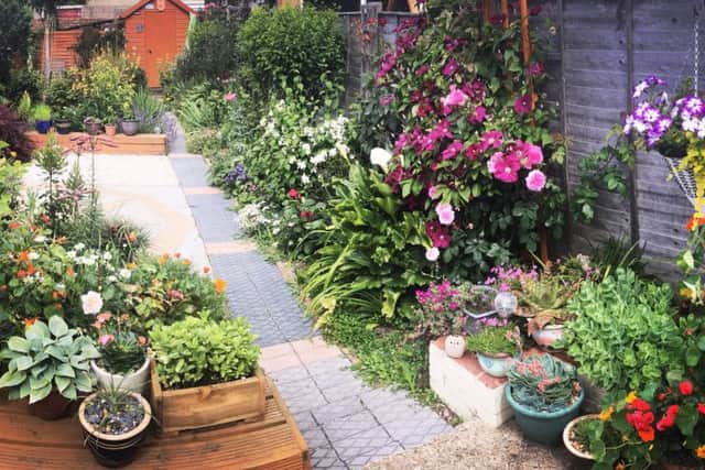 Michael Mead's Portchester garden is neat yet bursting with colour
