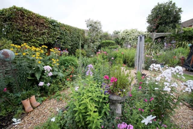 Pete Russell and Lin Dedman's garden in Havant