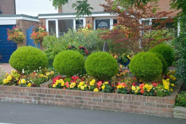 Teresa Greenwood's beautiful Fareham front garden