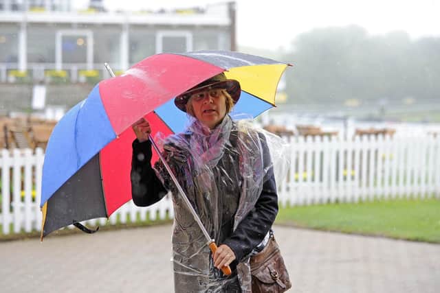 Not-so-Glorious Goodwood / Picture by Malcolm Wells