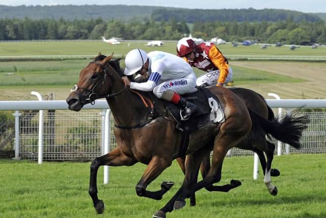 Who will find delight on the Downs today? Picture by Malcolm Wells