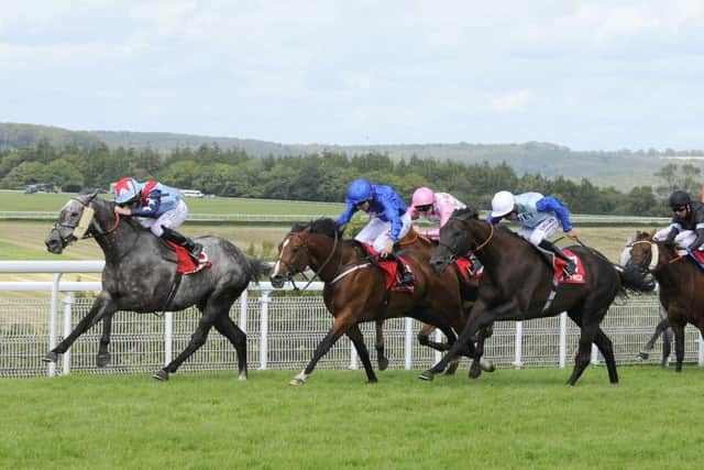 Master of the World wins the Betfred Mile / Picture by Malcolm Wells