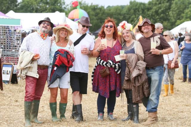 Revellers at Wickham Festival