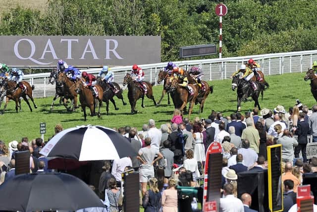 Action in the Qatar Stewards' Sprint Handicap Stakes, which kicked off Saturday's action / Picture by Malcolm Wells