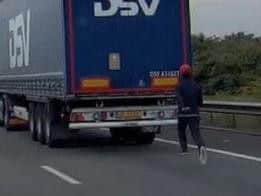 A screenshot from the video