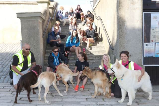 The NCS Pompey Penguins pooch parade from the Square Tower to the Model Village at Southsea and back Picture: Habibur Rahman
