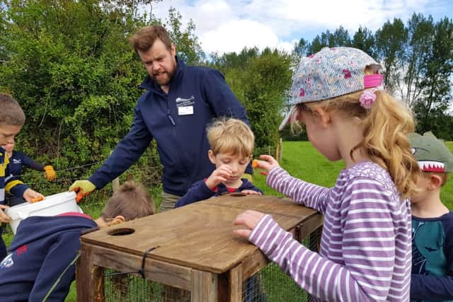 Children feed the water voles before they are released