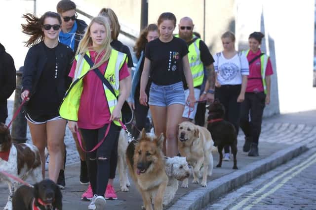 The Pompey Pooch Parade Picture: Habibur Rahman