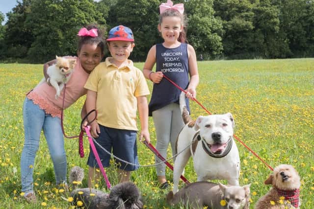 Bonnie Hughes, seven, Riley Youngs, five, and Evie Hughes, six with their dogs. Picture: Keith Woodland (171002-0074)
