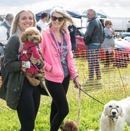 Jade Parker with Fleur and Gabriel Head with Mini and Poppy  Picture: Keith Woodland (171002-0042)