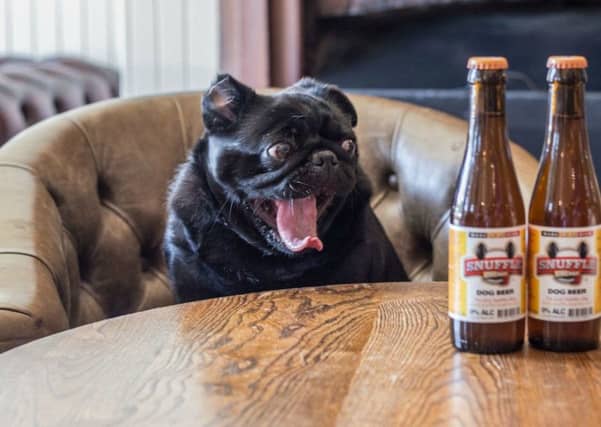 Pug Rave Fundraiser secures a venue for world's first ever '˜Pop-Up Pug Pub'