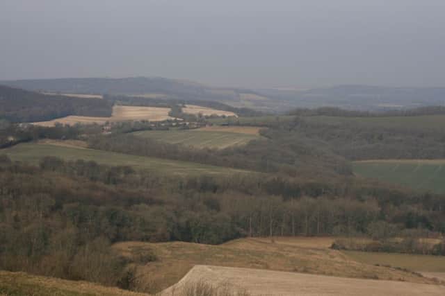 The countryside surrounding Harting Down in the South Downs National Park, in West Sussex.