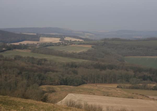 The countryside surrounding Harting Down in the South Downs National Park, in West Sussex.
