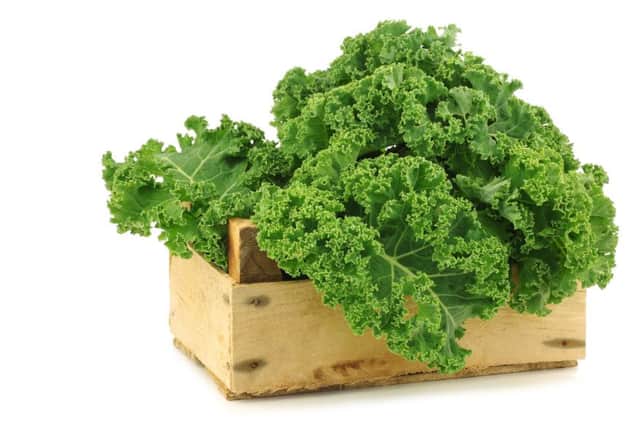 Freshly harvested kale cabbagePicture: Shutterstock