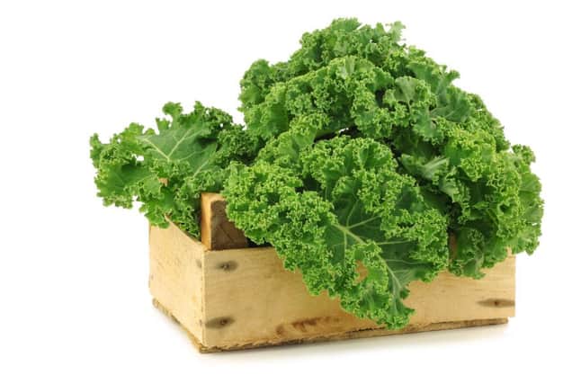 Freshly harvested kale cabbage

Picture: Shutterstock
