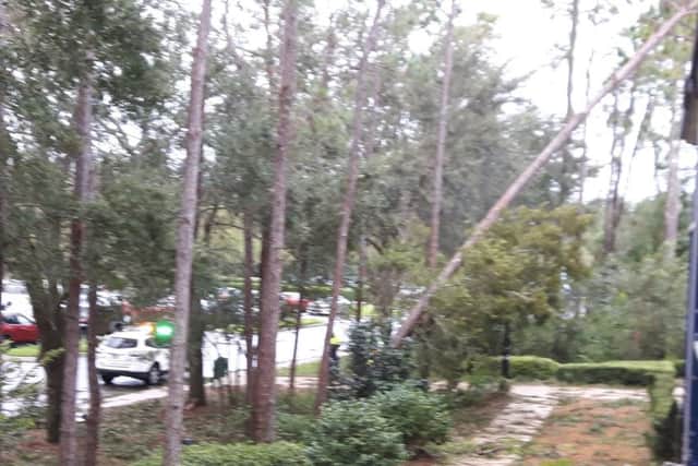 At least 79 people have lost their lives as a result of Hurricane Irma. Picture: Sue Jones