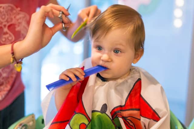Louie's barber employs a three-pronged bribery approach to getting him to sit still long enough to cut his hair     (Shutterstock)