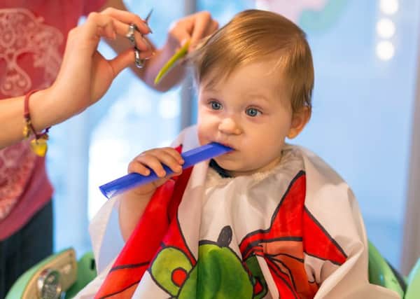 Louie's barber employs a three-pronged bribery approach to getting him to sit still long enough to cut his hair     (Shutterstock)