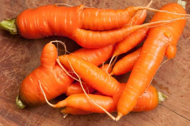 Curly and twisted carrots. Shutterstock