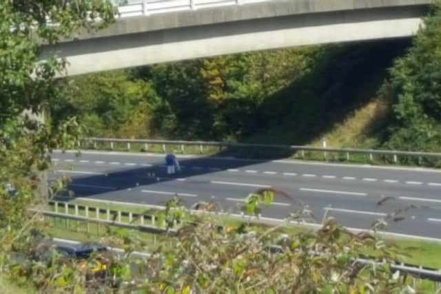 A forensics team was spotted on the M3 yesterday after the motorway was closed. Picture: Simon Cox
