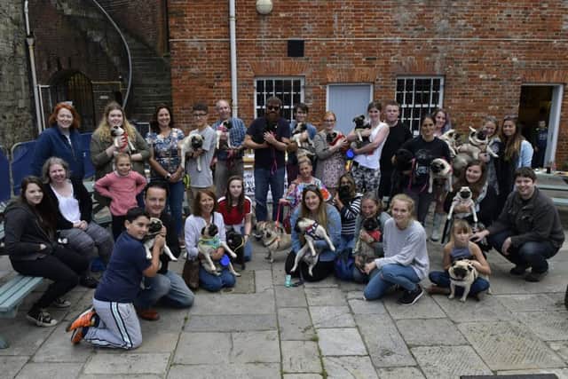 Pug owners line up for a group shot.
Picture: Neil Marshall (171159-11) PPP-170924-172906006