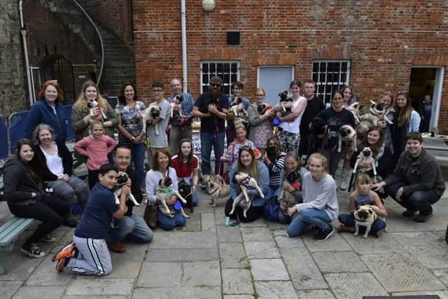 Pug owners line up for a group shot.

Picture: Neil Marshall (171159-11) PPP-170924-172906006