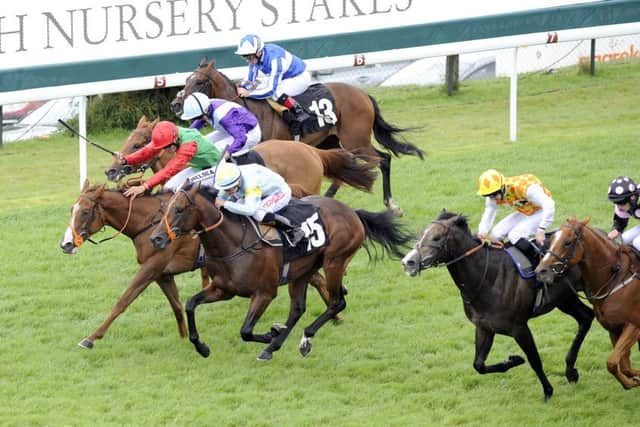:Billesdon Brook, red cap, bids for another victory at Goodwood. Picture: Malcolm Wells