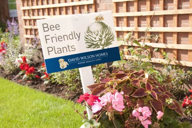David Wilson Homes is planting bee-friendly gardens