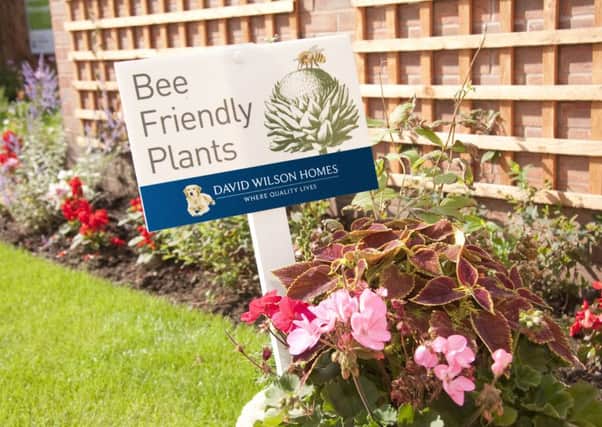 David Wilson Homes is planting bee-friendly gardens