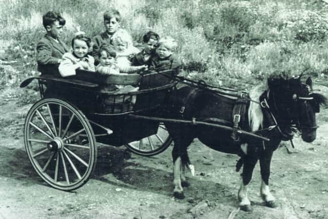 A Sunday morning trip around town - Shorty the Shetland pony pulling seven Madgwick children in a tub trap on what George Madgwick says was a typical Sunday morning jaunt around Portsmouth.