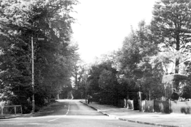 Looking along Hulbert Road at Bedhampton from the old A27.