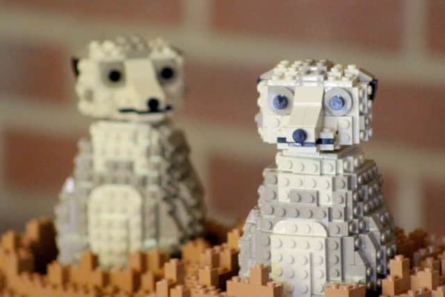 Bright Brick's LEGO sculptures at Marwell Zoo.
Picture: Laura Soothill