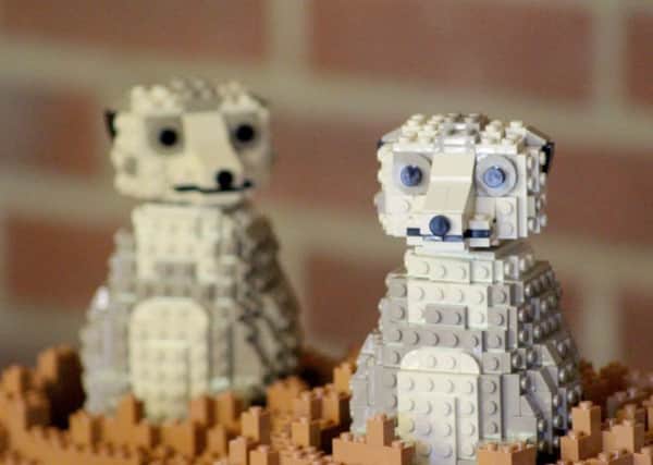 Bright Brick's LEGO sculptures at Marwell Zoo.
 Picture: Laura Soothill