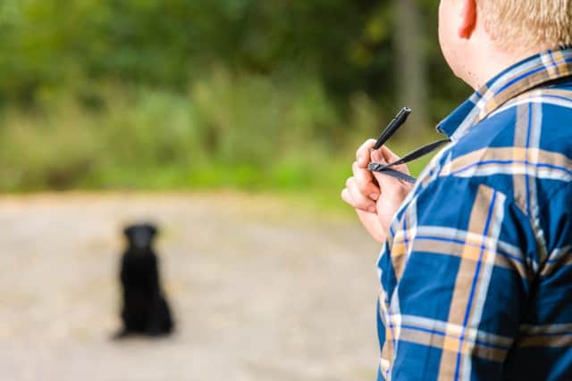 Black dog whistle