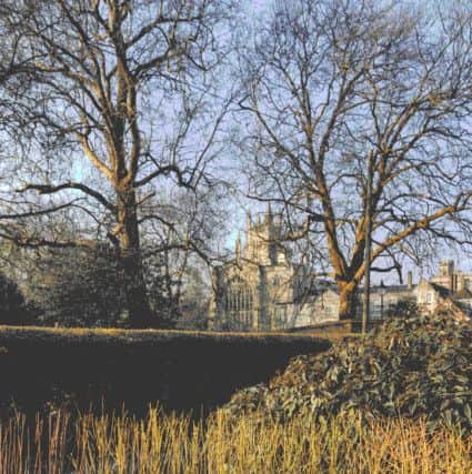February - Winchester Cathedral by Carrie Davidson