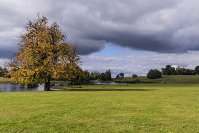 October - Petworth by Carrie Davidson