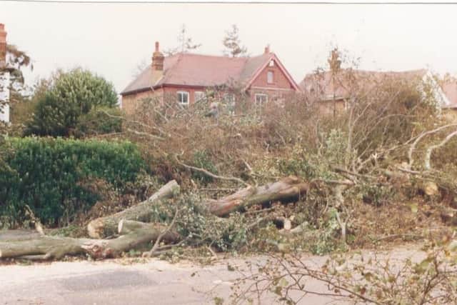 Trees down in Chichester after the storm