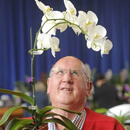 Dave Gourley, from Lee on the Solent, admires with his magnificent plant Picture Ian Hargreaves (171231-01)