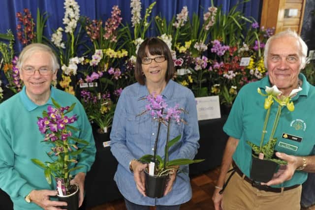 Jonathan Watson, Lynn Smith and Tony Nappin who make up the committee of the Wessex Orchid Society
Picture Ian Hargreaves (171231-05)