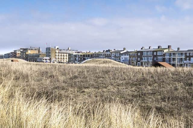 Sand dunes similar to those that Walter Menteth and his supporters want to see installed as part of 'soft' sea defences in Southsea