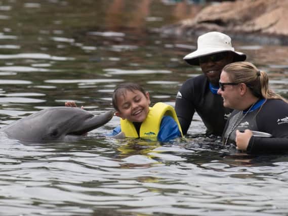 Joseph swims with a dolphin