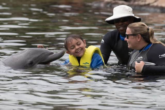 Joseph swims with a dolphin