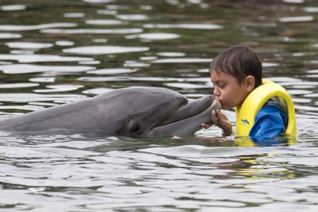 Joseph Mahmud, 10, from Portsmouth, swims with a dolphin during the Dreamflight visit to Discovery Cove in Orlando, Florida Picture: Steve Parsons/PA Wire