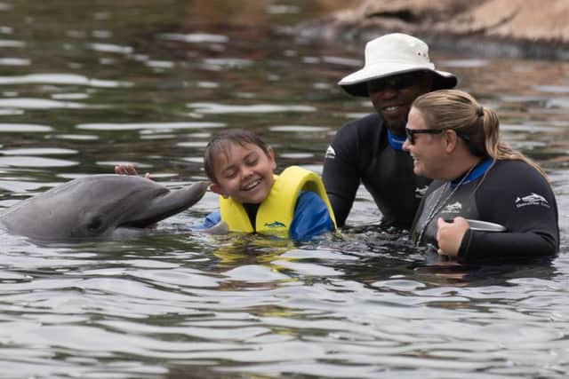 Joseph Mahmud, 10, from Portsmouth, swims with a dolphin during the Dreamflight visit to Discovery Cove in Orlando, Florida Picture: Steve Parsons/PA Wire